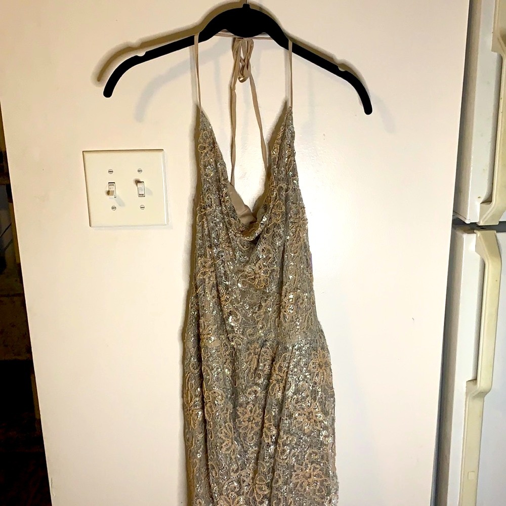NWT Haute Hippie Dress